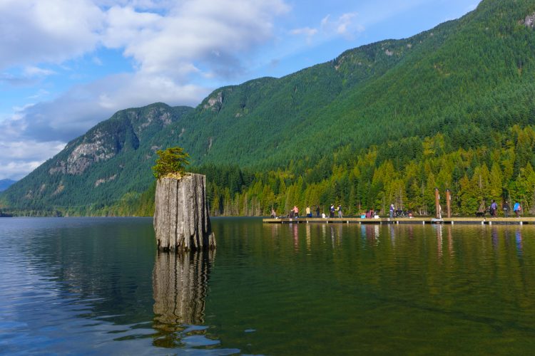 Port Moody real estate
